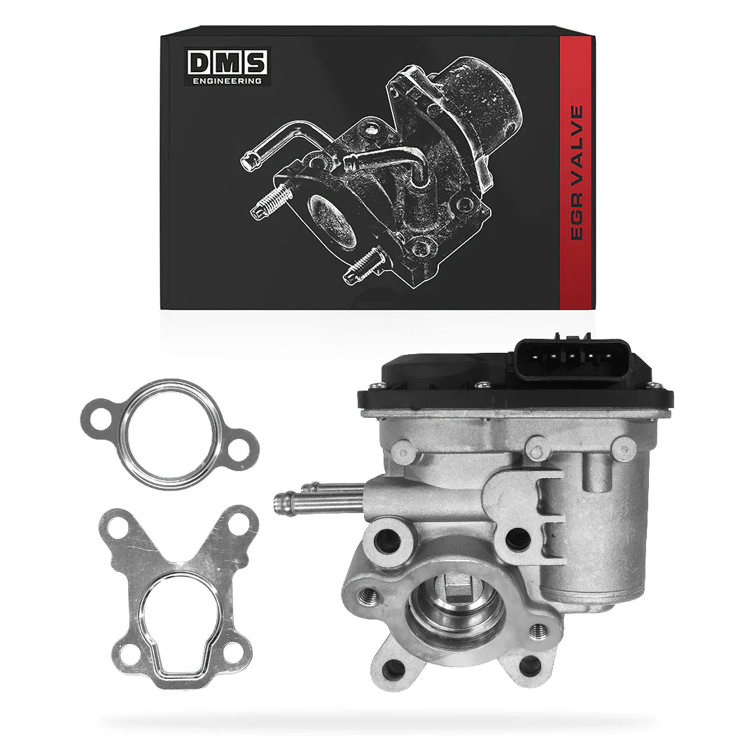 Nissan Navara D22 (2002 - 2004) EGR Valve + Gaskets
